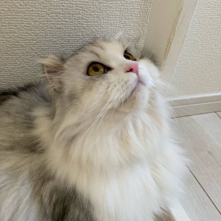 75a7311e 7b6a 4c92 b3ef 02df8eb3e721 1631330122307