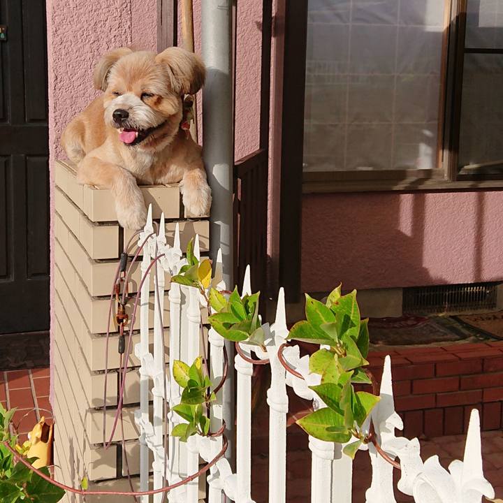 75a74b88 2893 40d1 a521 3dd0d775243d 1598481756446