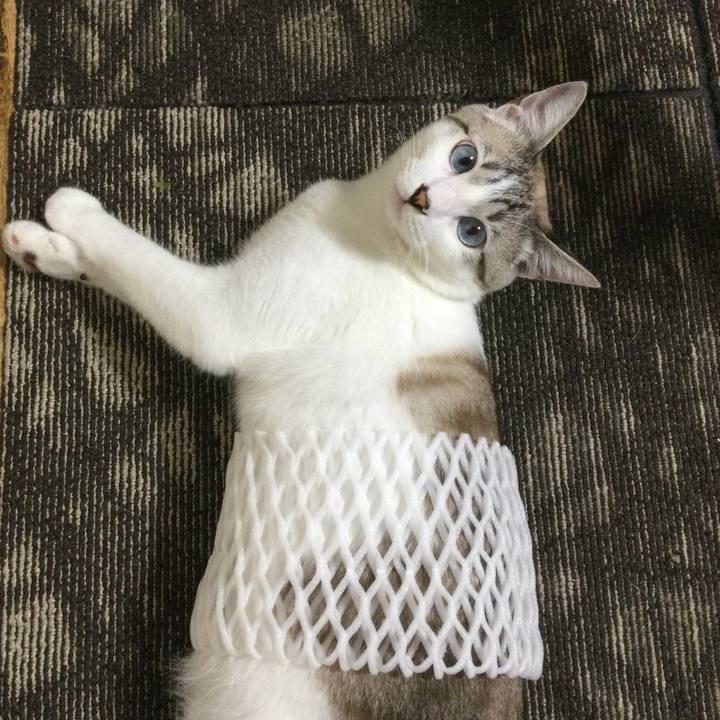 75a81032 dd17 4356 a415 c27925710547 1634168362646