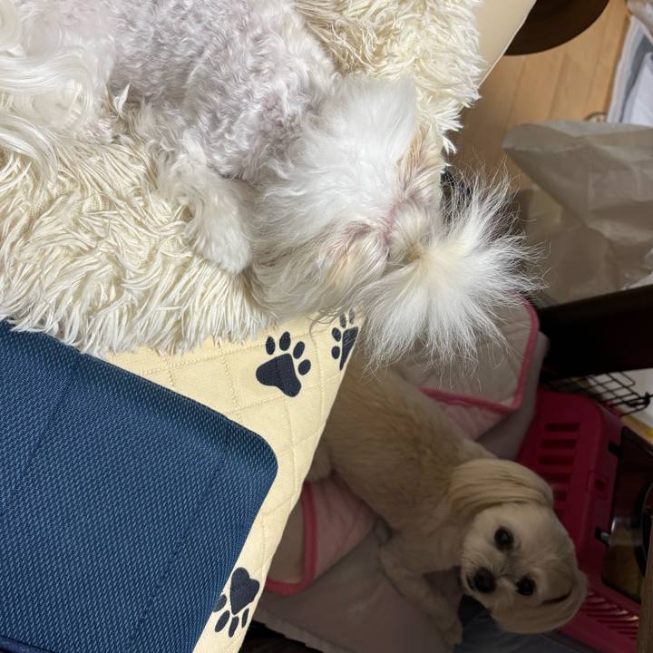 75a833ef 9b1c 4dc7 89de bf3e2cb34475 1752237819374