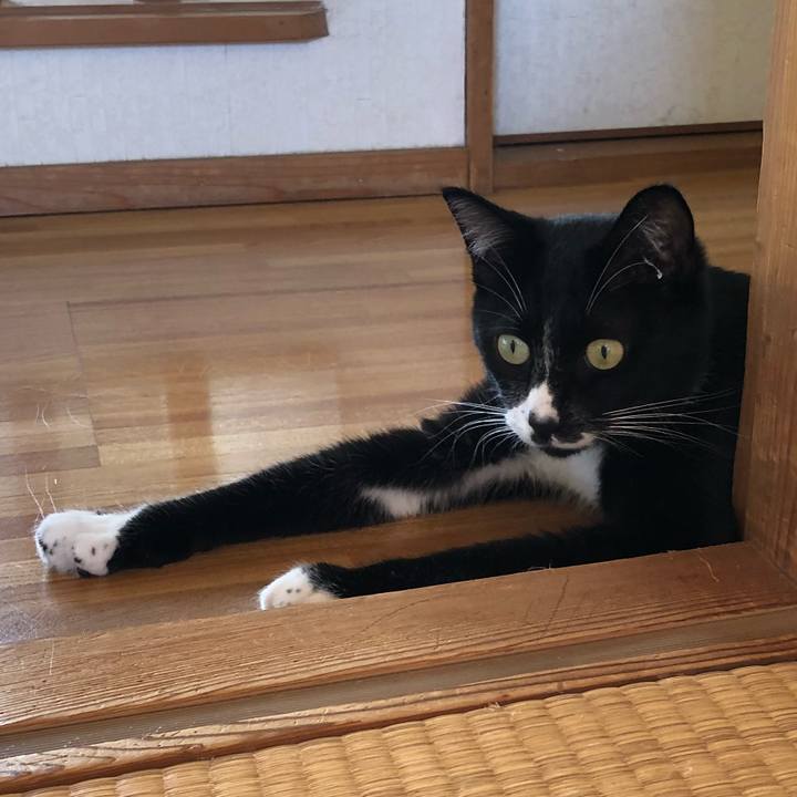 75a84b2c ec31 4689 86d8 ed985a279d5a 1539921112198