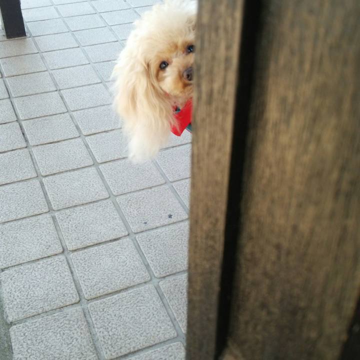 75a84f4e 47ac 45e6 afd6 64e829520477 1549960972828