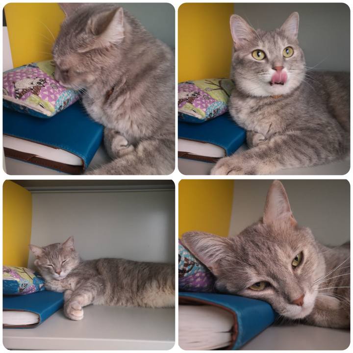 75a87982 816e 4fed aab3 9d490b2c2cb6 1569997538412