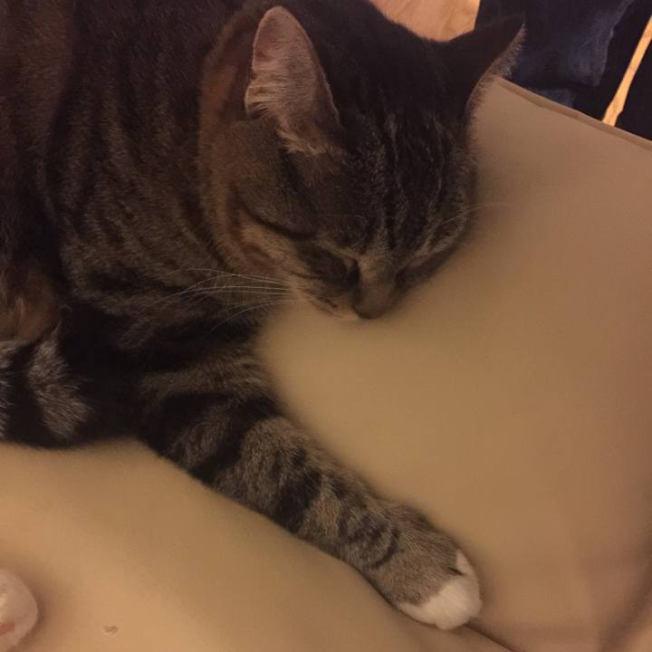 75a8bc21 fcbc 4abb 8ab0 5c3e70829755 1553421888246