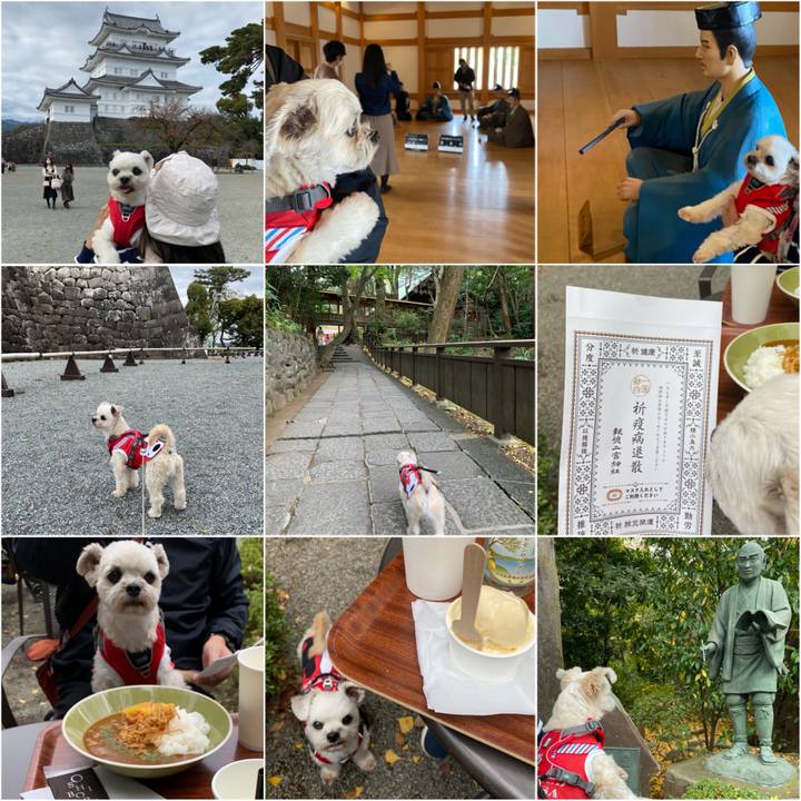 75a8ddc7 88bb 4223 9541 42594d257064 1606116183369