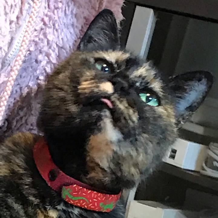 75a8e5ef 3682 4cac b9ea 4d7f851d2387 1554034753719