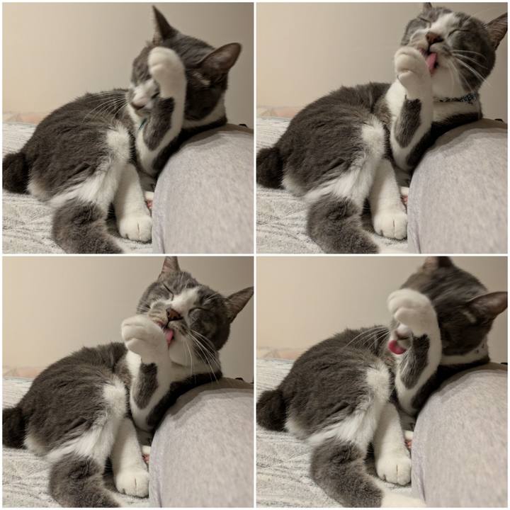 75a8f127 7dd9 4eb7 a800 35f9e508726a 1730199797060