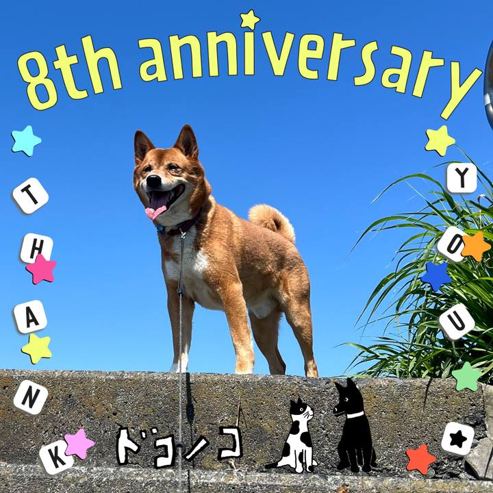 75a8f135 e68c 4020 949d f1884c57d0f7 1717831181644