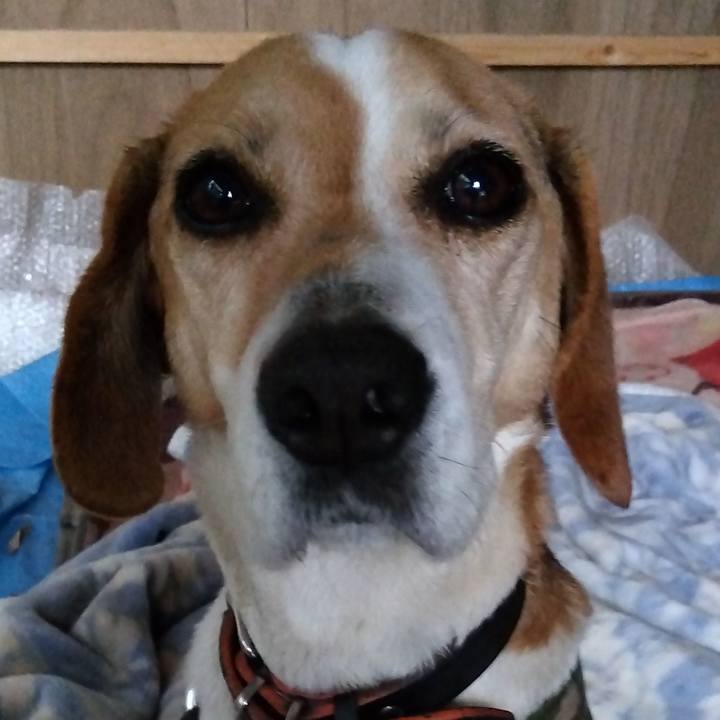 75a90243 f2d7 4c21 b805 8190963ee97c 1682570933570