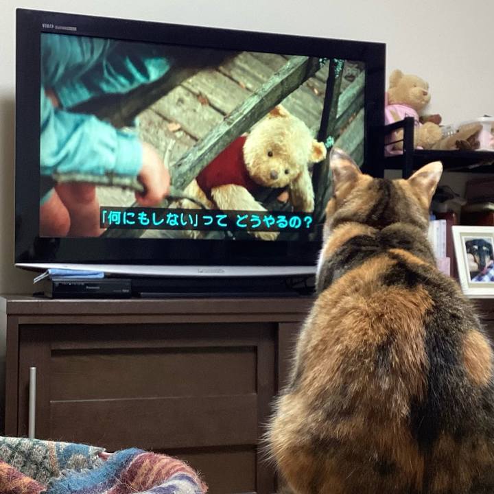 75a90718 a4ff 4f73 b802 ede59e0428d6 1680392665409