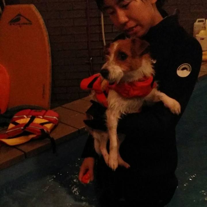 75a913c2 a533 419d 8ce8 4406120499c2 1514937940185