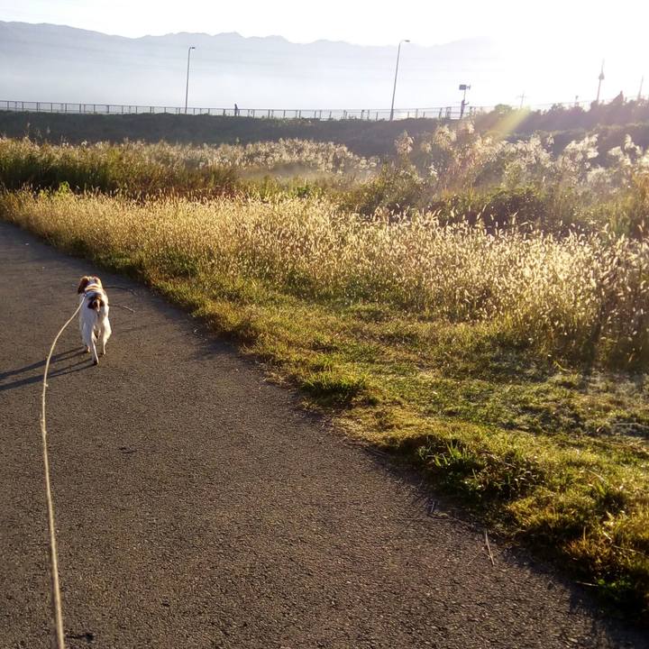 75a92a7a 5d05 4191 a1f4 72c6680884e8 1510747271699