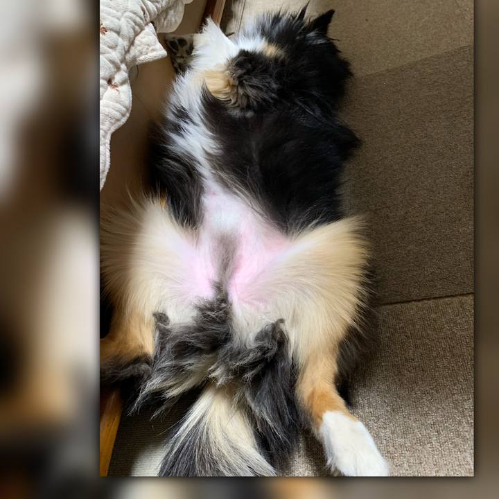 75a93fcd c0ce 49b8 86d9 b89b788fa6d3 1550321235888