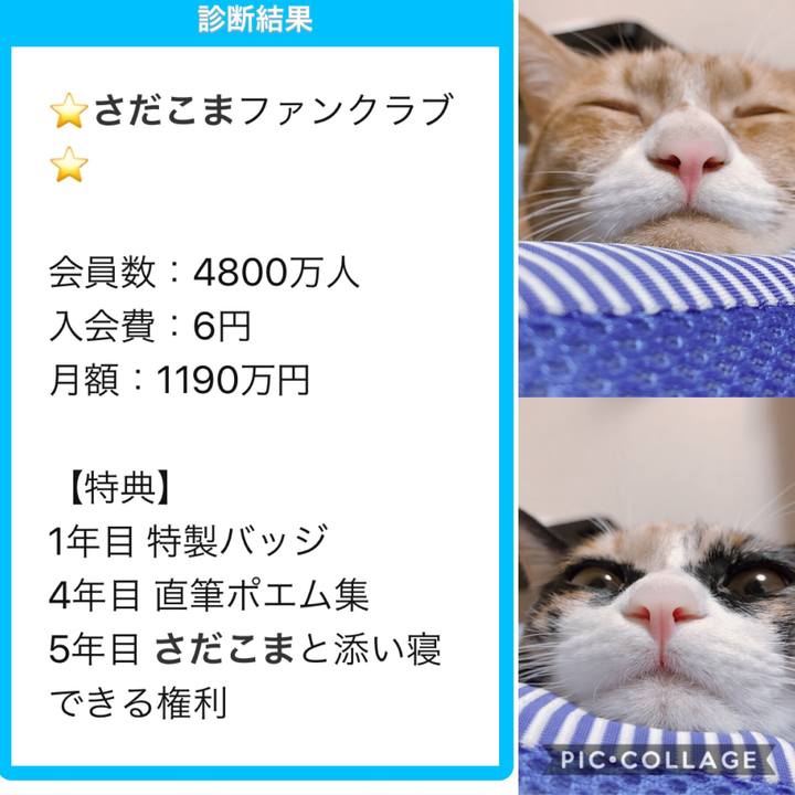 75a941ca 311a 403e a430 5b4d586deb26 1568384298069