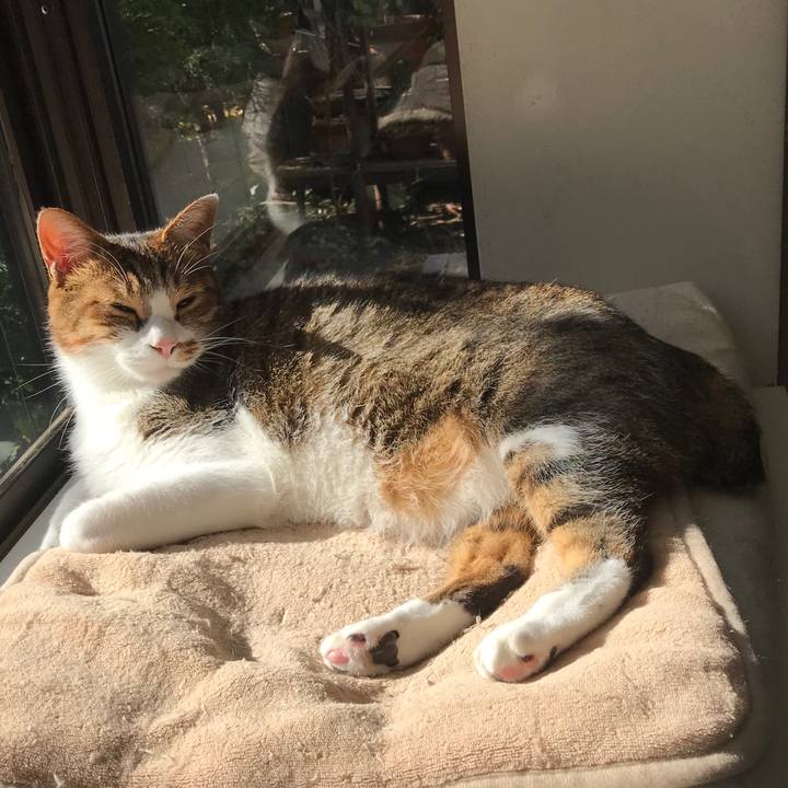 75a94f50 0d62 41a3 a2ee b126c72dea25 1515209691674