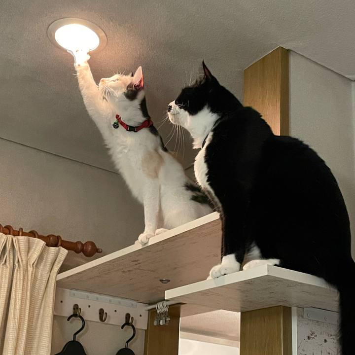 75a95129 f480 42f0 87e8 0e5af2056ae0 1730210715635