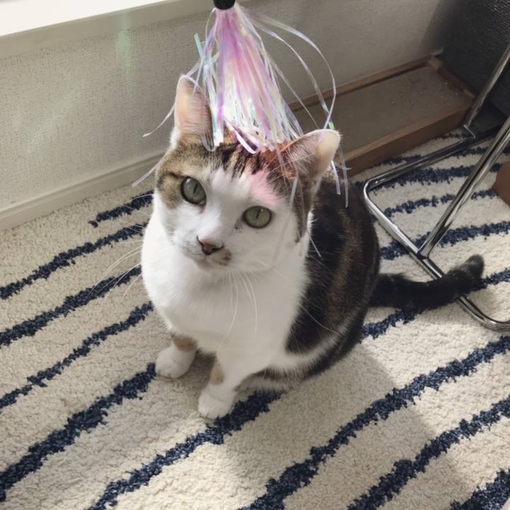 75a96be3 6e31 4fd7 9e06 5cf585020feb 1543896522899