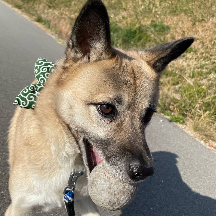 75a96fdd 4484 423a 8d8f 1a2375171b86 1673177337563