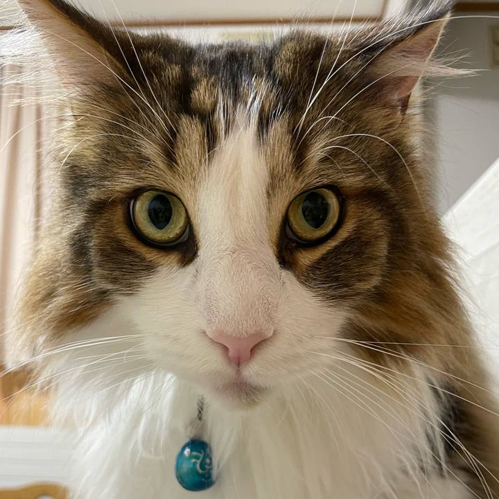 75a97d75 403b 4dbf 9926 48c4b0d2fc5c 1714764232797