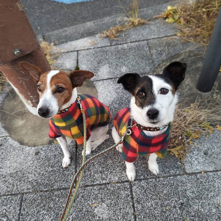 75a9a701 2584 47e1 844e 031d36507713 1734990441482