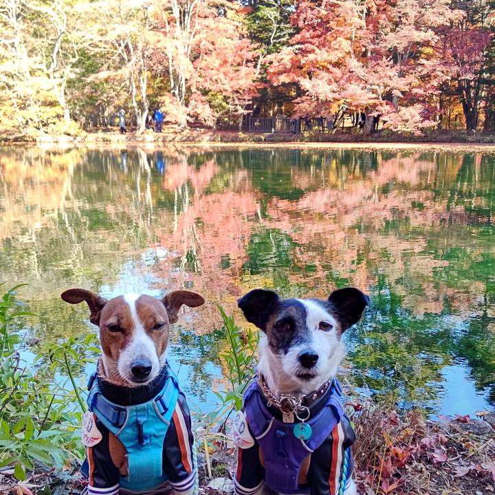 75a9f640 02fb 4403 9b0f b42e835f1c27 1667812165846