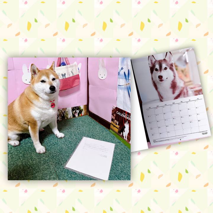 75a9f6ea ca9e 433b abb3 28f75e4734dd 1674084464975