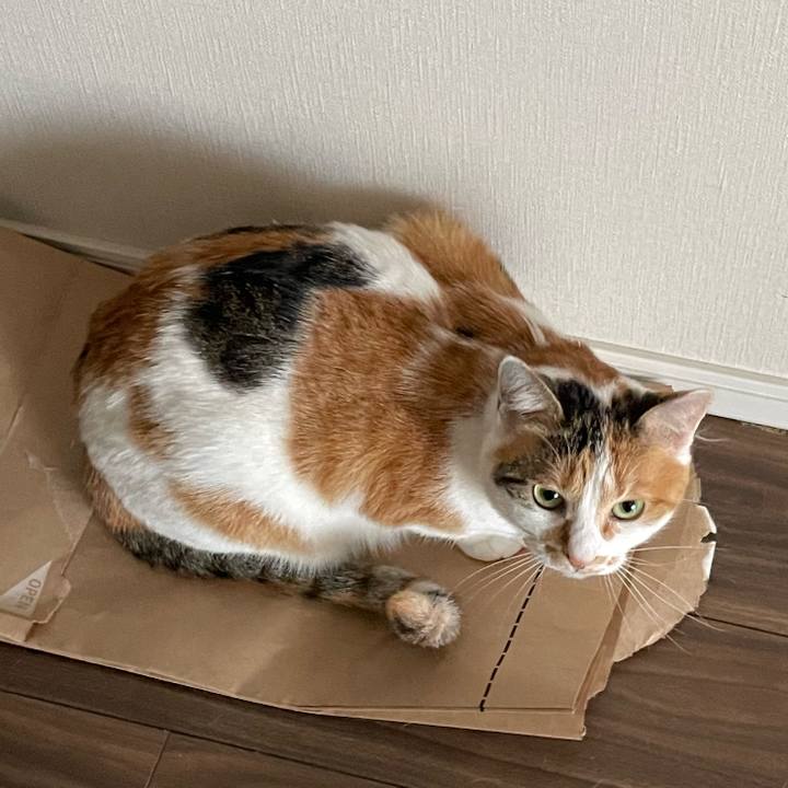 75a9fd8f 75dc 44b7 b1c2 dddf9df11474 1640310262052