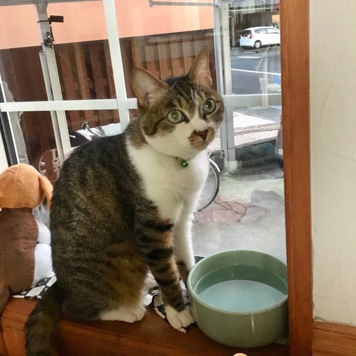 75aa17f3 ee3c 40ac 99be 536da4d99e20 1531306178462