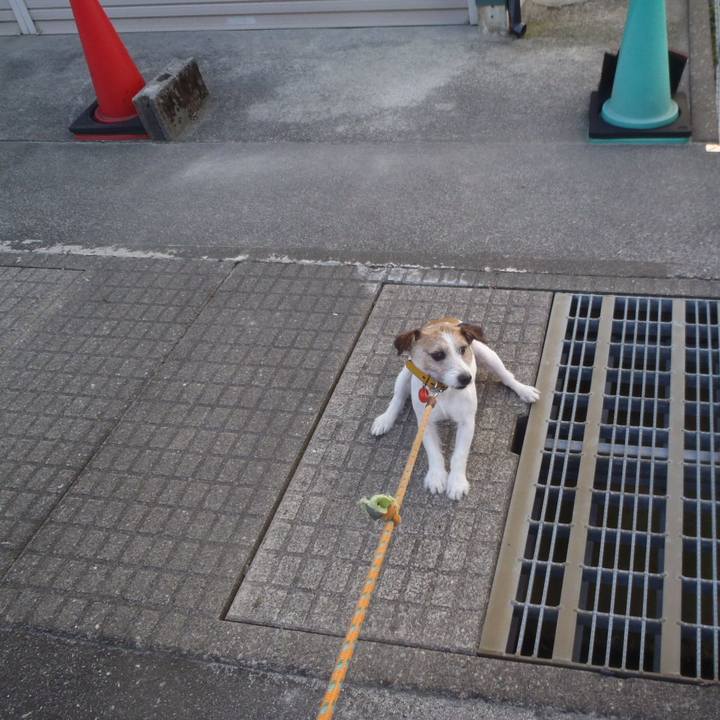 75aa440e 0906 4278 9ab6 713e9e9a8933 1543566054355