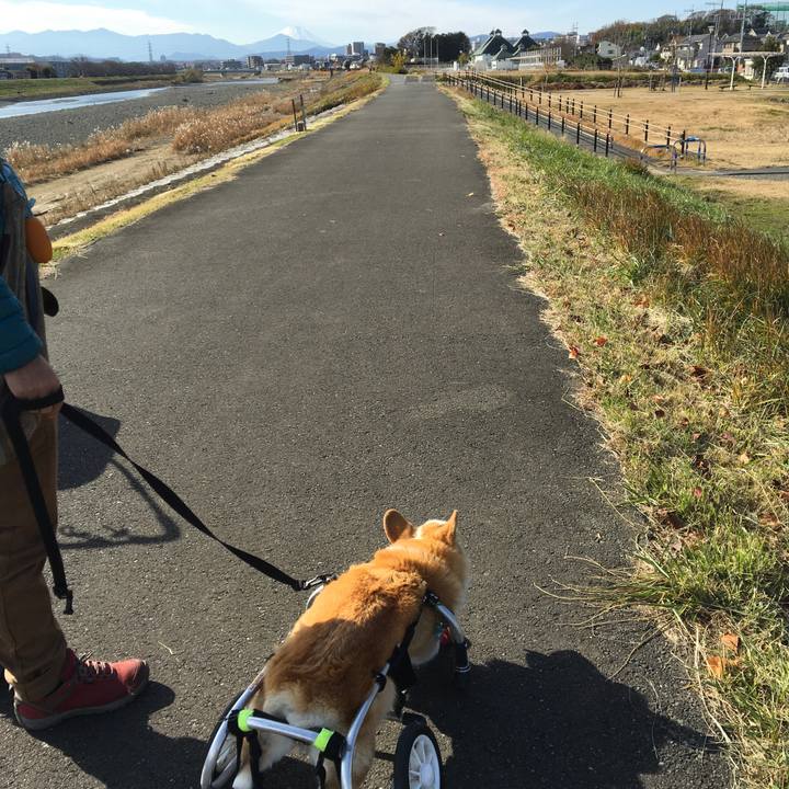 75aa704f bb13 4ae8 af2f f4271036a2b8 1576715117165