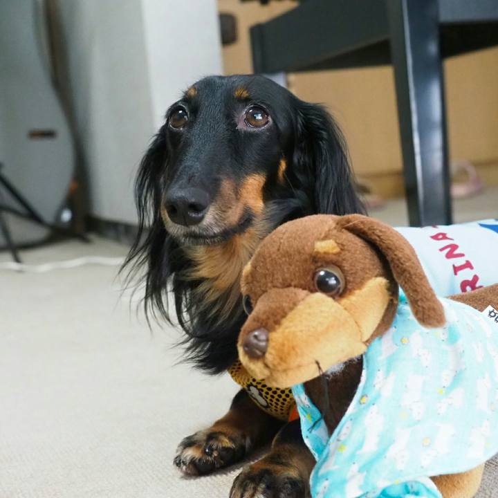 75aa70a6 6fd5 4972 ac59 6a8f35cb70b5 1534901851767