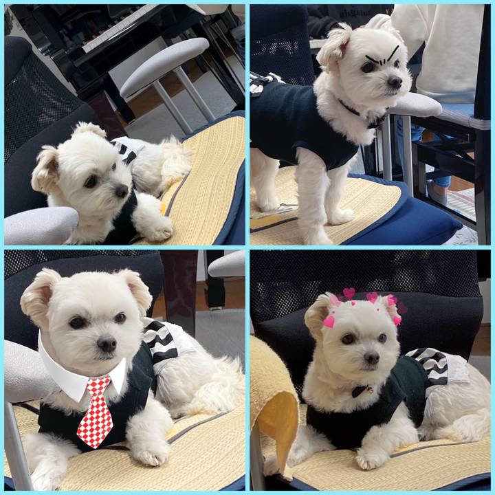 75aa72f0 c729 4026 b487 4e77a9c57e0f 1649505109780