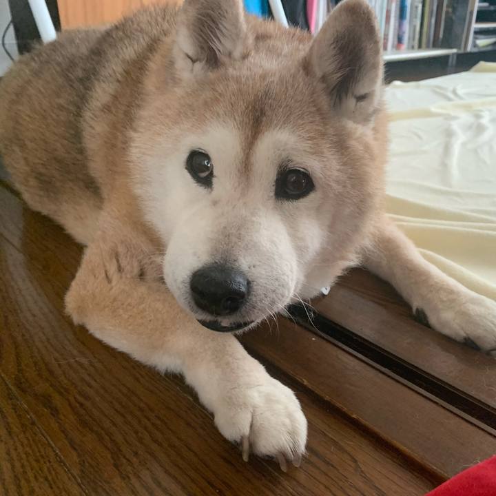 75aa7a72 3c35 4b35 bdad e1e364ea08d0 1676200886865