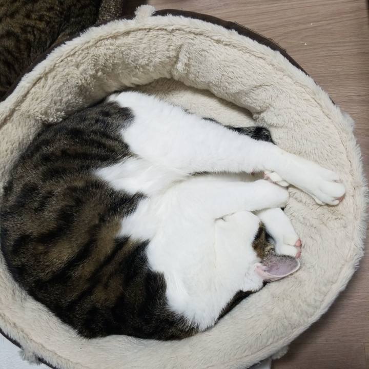 75aa8ef8 1a12 4a89 bab8 d93d5feedba6 1577019390401