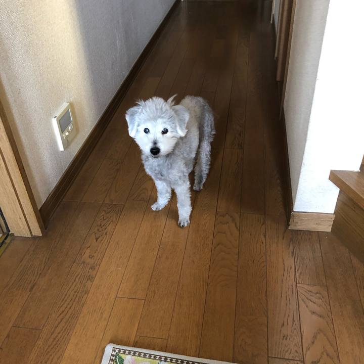 75aac962 8cd3 4fd3 bc85 0bc3106b3518 1617147201126