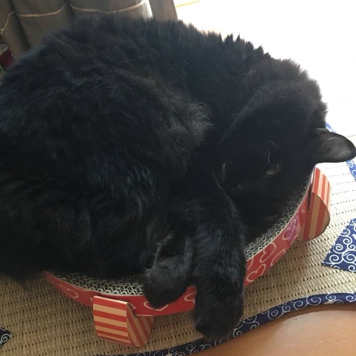 75ab4a45 4c17 4eee acfb b3efc75d0336 1534546947458