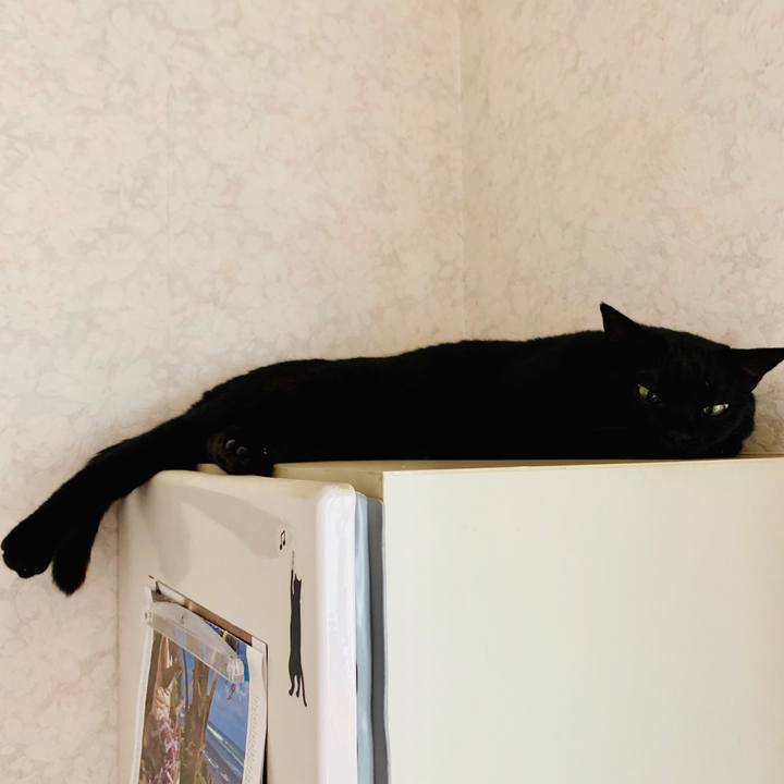 75ab4a83 d55f 4f55 a29d e2eec5ea6499 1562893426102