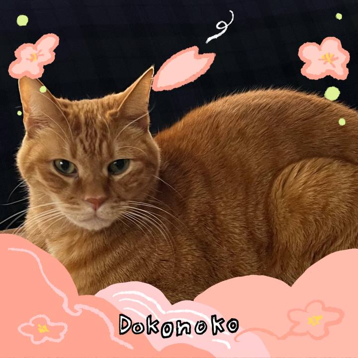 75ab7081 5ba5 4c6d 87fb 42a6edb4a6c7 1775548165913