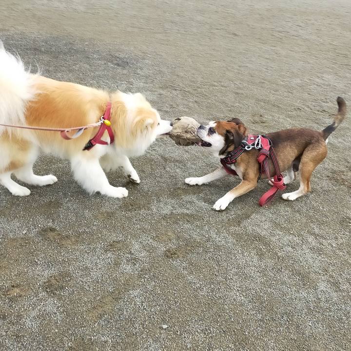 75abaa66 9c85 4cd3 90be 6e6ab5cf11e1 1657115316230