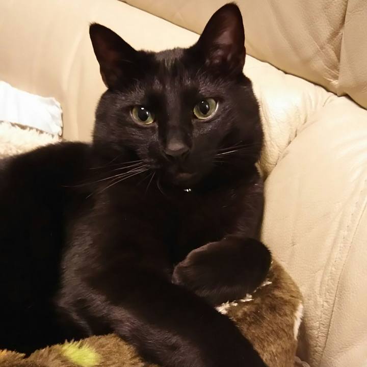 75abc567 7654 4a4d 8632 fc5ef2828c4f 1521934733323