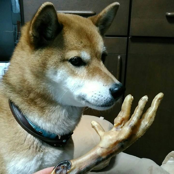 75abc7e4 e9c6 45a3 b3ad ef5d0061c34e 1555570116122