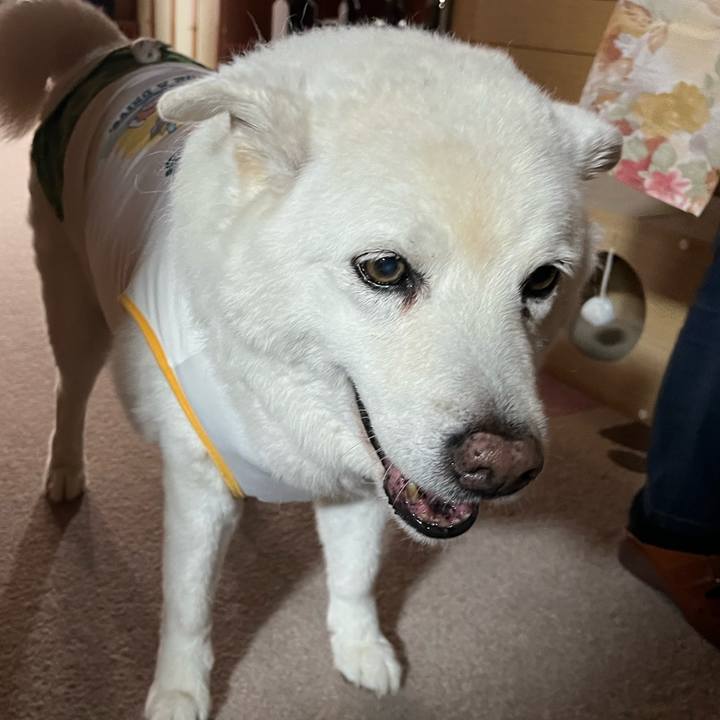 75abd46e 4e9a 4fda 8ccb ccb0db90c5cb 1760314968523