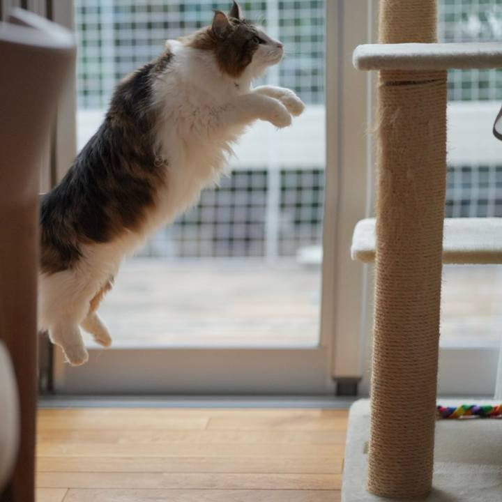 75abe244 5976 457e 875a d4a647378d79 1706860924177