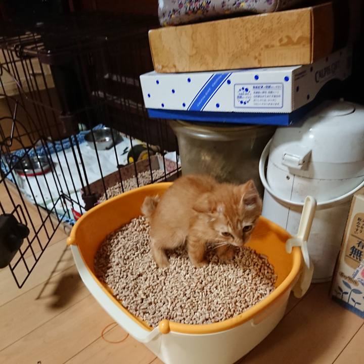 75abe6be cda3 4add 86c2 d4be3df5b79a 1629281597043