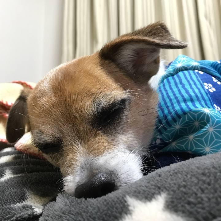 75abf2ee 02a2 43e3 ab28 0d9a0cdd0262 1579873395300