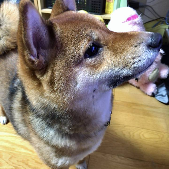 75ac017f 85fb 476c a8a9 4cc30e5e0227 1520572295613