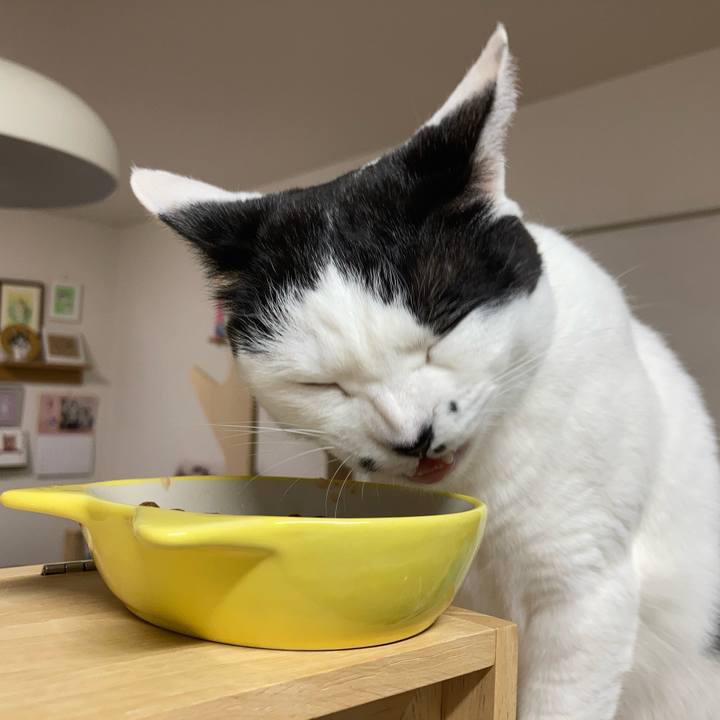 75ac2981 9017 4b1f 8922 f4eb6567a192 1774128084676