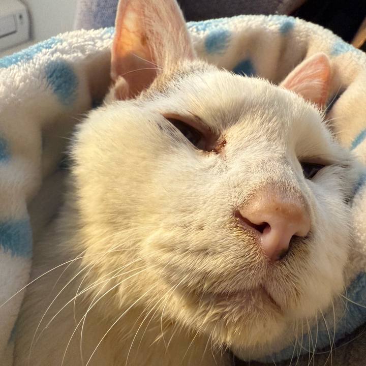 75ac2ba4 f9ea 46c1 8ba8 d87044d65611 1770436960659