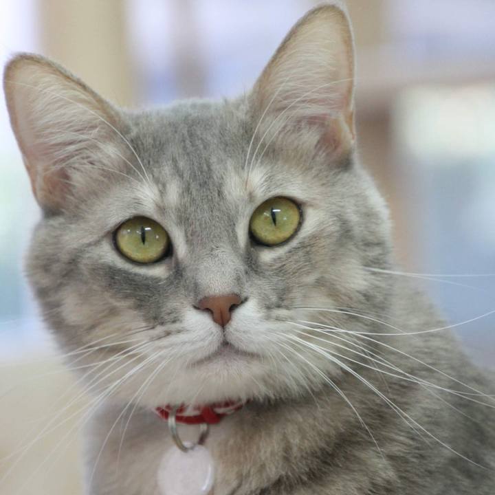 75ac3fde 3fdf 4a18 bc41 fa7950f25f99 1545898568232