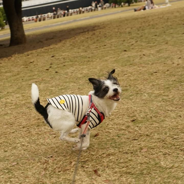 75ac4302 463b 4e4f 8a4f ccdac7bf5709 1668770503721